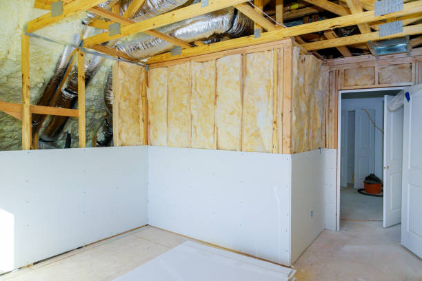 Best DIY Insulation Kits and Guidance in Walnut Ridge, AR