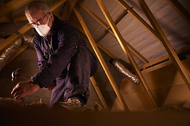 Best Insulation Maintenance and Repair in Walnut Ridge, AR